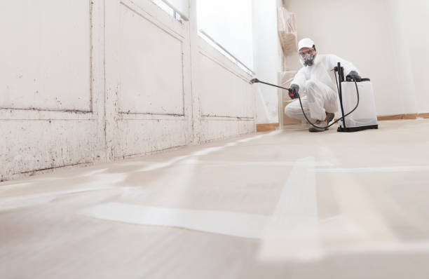 24/7 Emergency Mold Remediation experts in Radcliff, KY